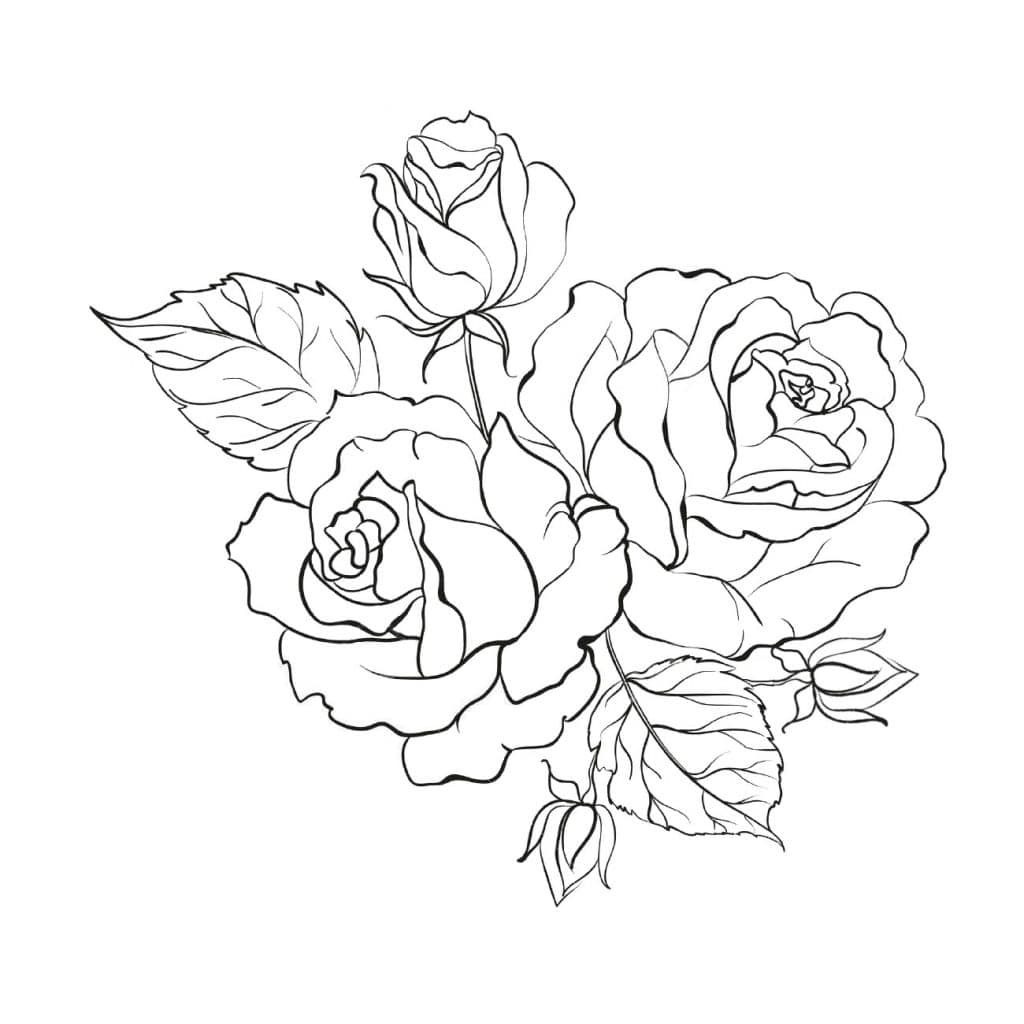 דף צביעה עם ורדים יפים