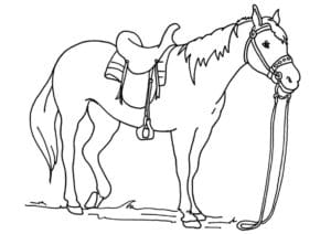 דף צביעה ציור  של סוס לצביעה