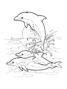 דף צביעה שלושה דולפינים לצביעה ולהדפסה