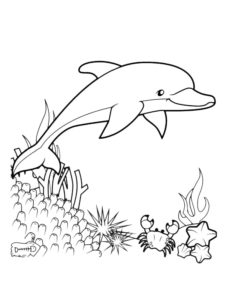דף צביעה דולפין וחיות ים לצביעה ולהדפסה