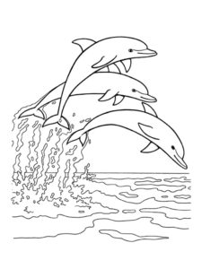 דף צביעה דף צביעה עם שלושה דולפינים