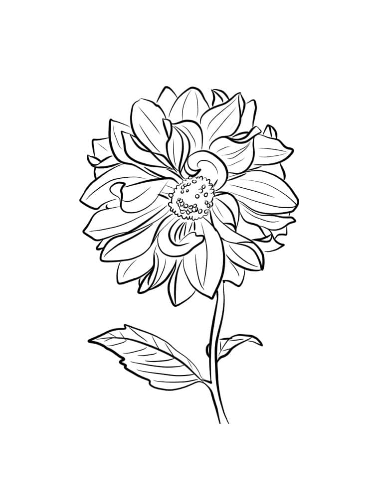 דף צביעה ציור  של פרח לצביעה