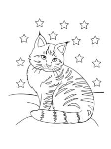 דף צביעה דף צביעה עם חתולה וכוכבים