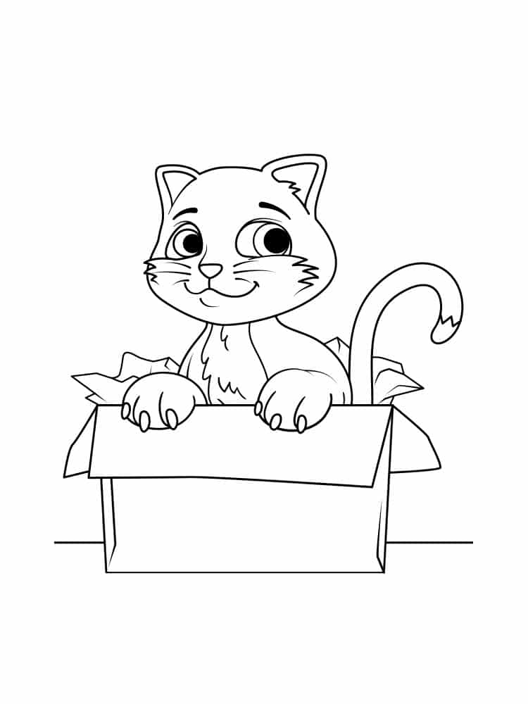 דף צביעה דף צביעה עם חתול בתוך קופסה