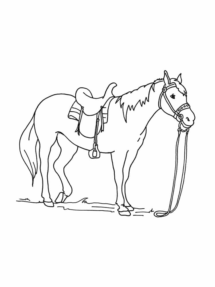 דף צביעה לילדים עם סוס יפה