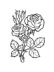דף צביעה ציור עם ורדים לצביעה