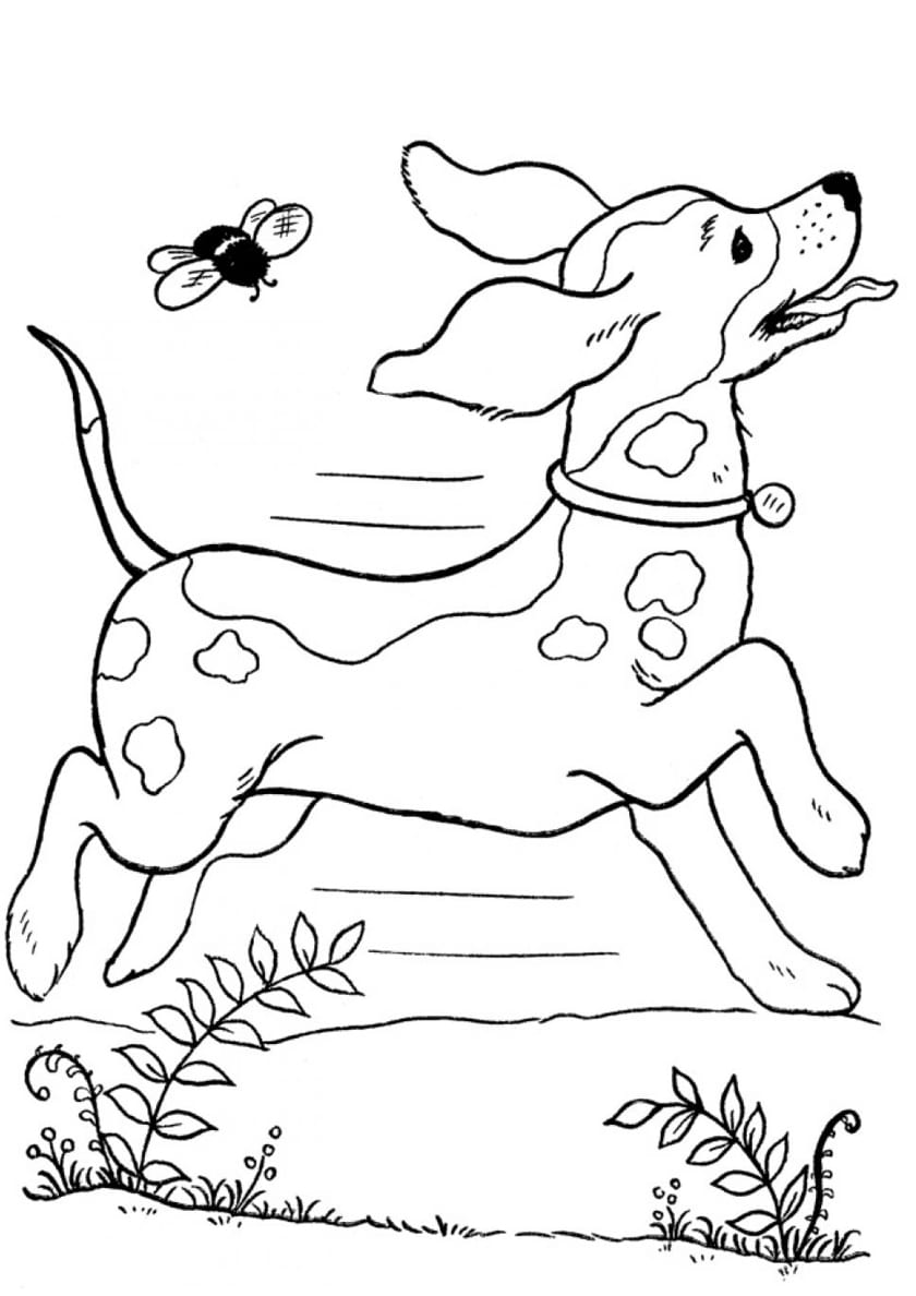 דף צביעה עם כלב שבורח מדבורה