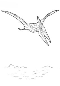 דף צביעה דינוזאור מעופף לצביעה