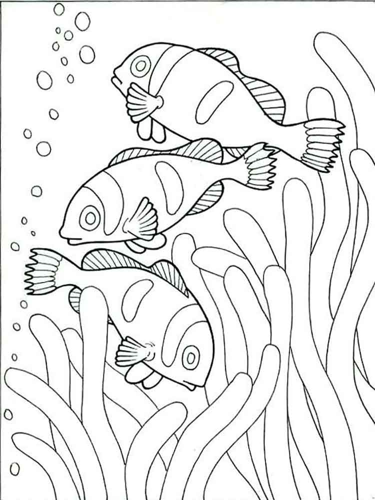 דף צביעה עם שלושה דגים