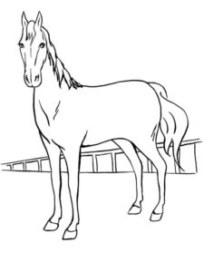 דף צביעה סוס יפה לצביעה