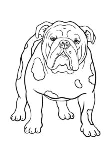 דף צביעה ציור של כלב שמן
