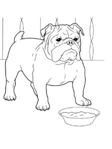דף צביעה ציור של כלב עם צלחת לצביעה ולהדפסה