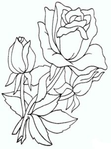 דף צביעה ציור  עם פרח לצביעה
