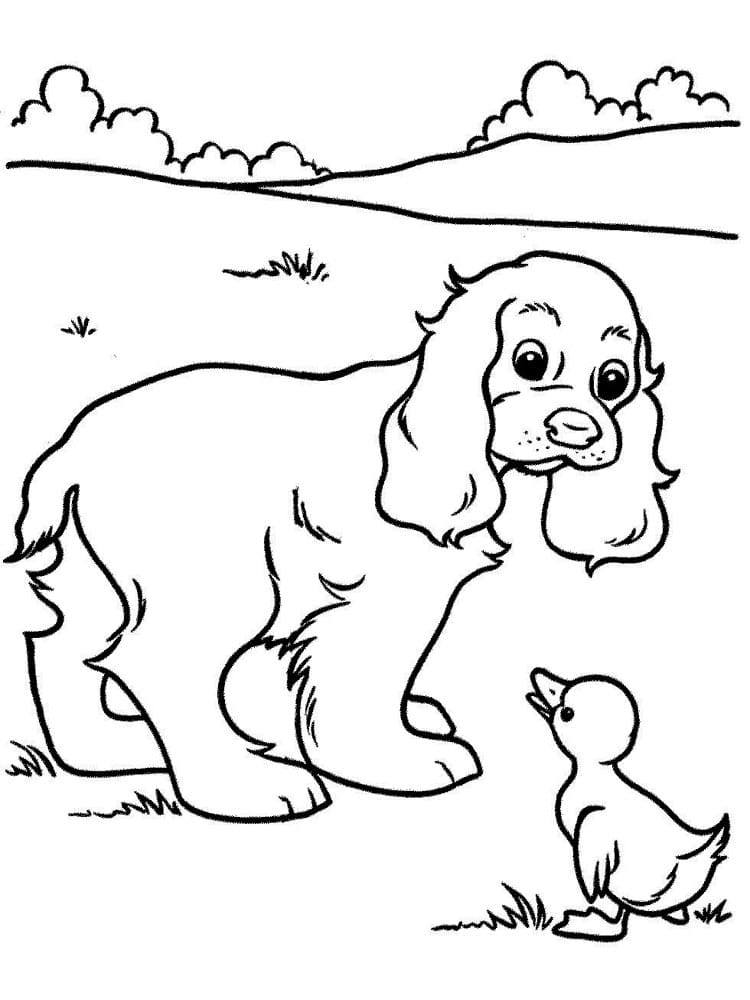דף צביעה עם כלב וברוזון