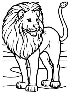 דף צביעה ציור של אריה לצביעה