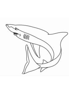 דף צביעה דף צביעה עם כריש