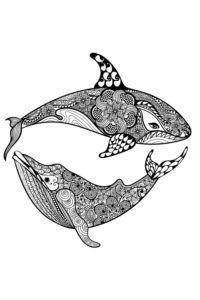 דף צביעה דף צביעה עם לוויתנים
