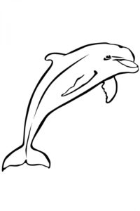 דף צביעה דולפין יפה לצביעה ולהדפסה