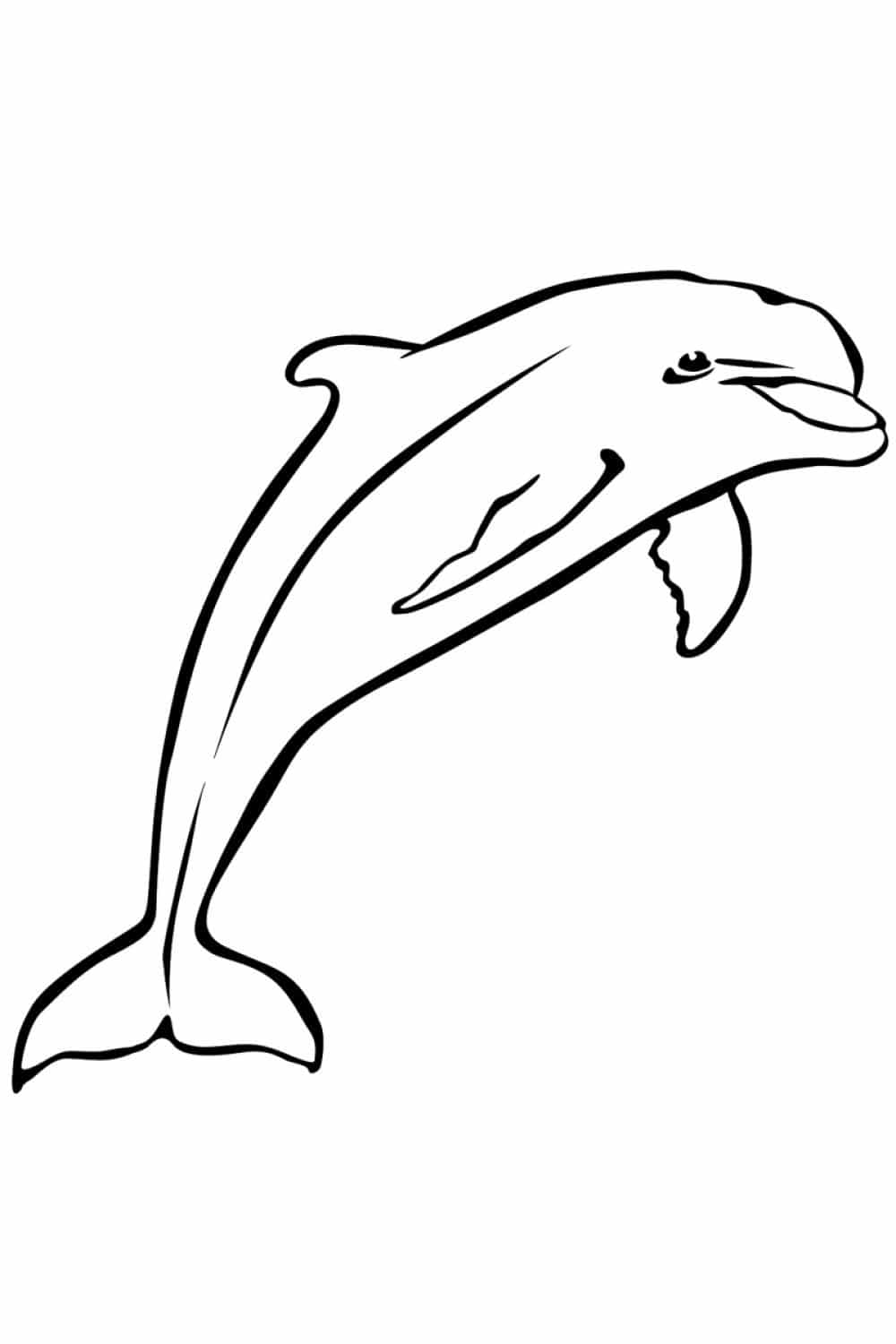 דולפין יפה לצביעה ולהדפסה