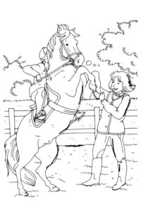 דף צביעה דף צביעה עם ילדה וסוס