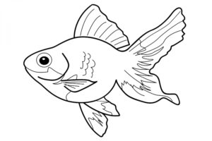 דף צביעה דג יפה לצביעה ולהדפסה