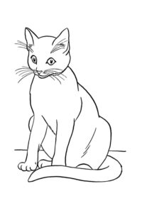 דף צביעה חתולה לצביעה ולהדפסה