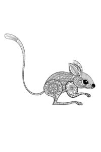 דף צביעה ציור של עכבר לצביעה למבוגרים