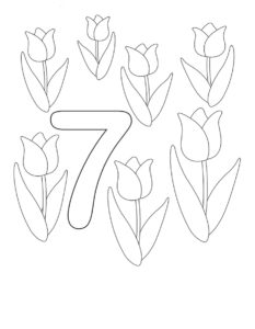 דפי צביעה דף צבעיה עם הספרה שבע ושבעה פרחים
