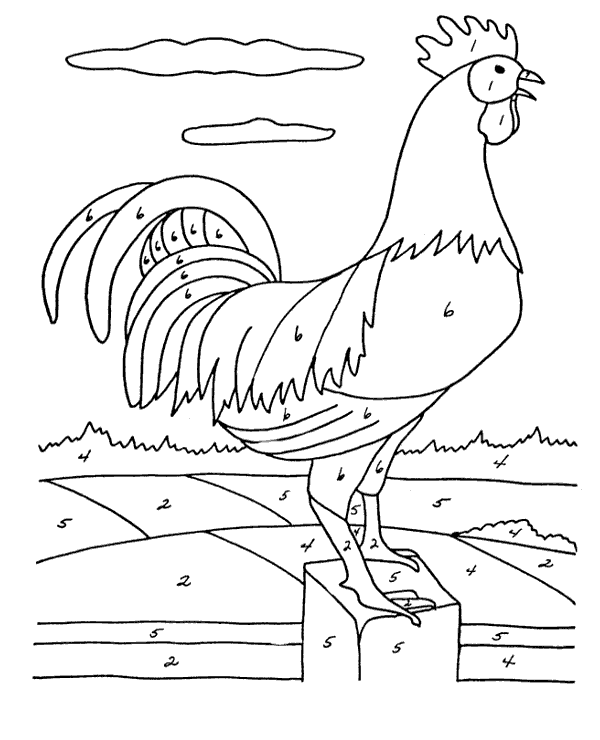 דף צביעה לפי מספרים עם ציור של תרנגול