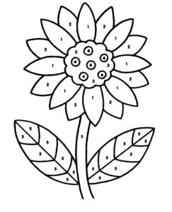 דף צביעה דף צביעה לפי מספרים עם ציור של פרח חמניה