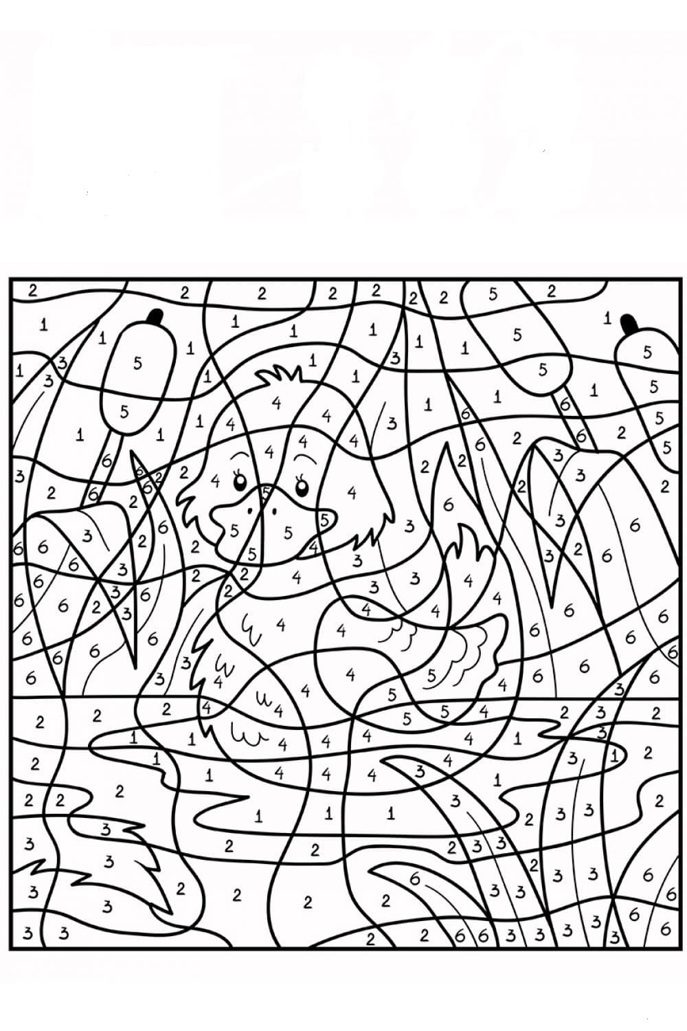 דף לצביעה לפי מספרים עם ציור של ברווזון באגם