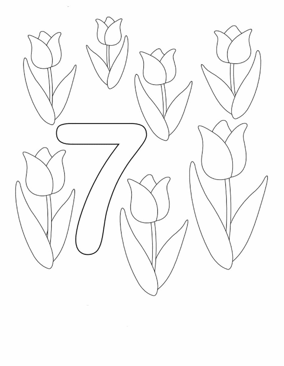 דף צביעה עם הספרה שבע ושבעה פרחים