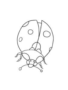 דף צביעה ציור פשוט של חיפושית לצביעה