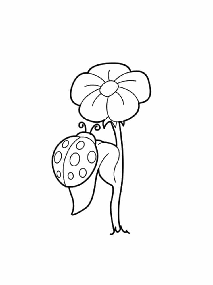 דף צביעה עם ציור של חיפושית על פרח