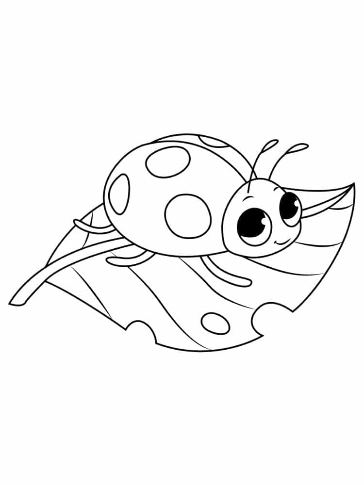 דף צביעה ציור של חיפושית קטנה על עלה לציעה