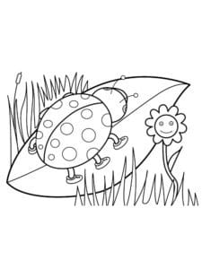 דף צביעה ציור לצביעה של חיפושית מטיילת על דשא
