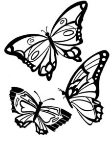 דף צביעה דף צביעה עם ציור של שלושה פרפרים יפים לצביעה