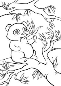 דף צביעה ציור של גור פנדה עם ענף במבוק לצביעה