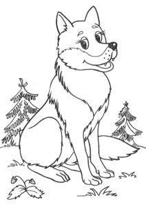 דף צביעה ציור של זאב ביער לצביעה
