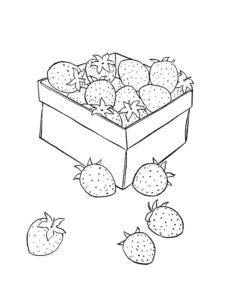 דף צביעה ציור לצביעה של תותים בקופסה