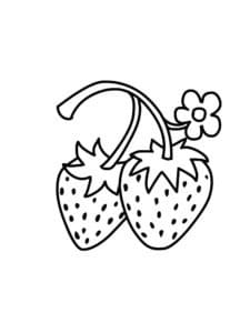 דף צביעה ציור לצביעה של שני תותים עם פרח