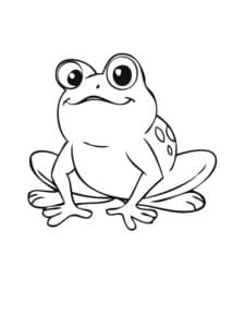 דף צביעה ציור לצביעה של צפרדע סקרנית