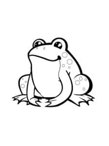 דף צביעה ציור של צפרדע יושבת לצביעה