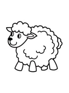 דף צביעה ציור פשוט לצביעה עם כבשה
