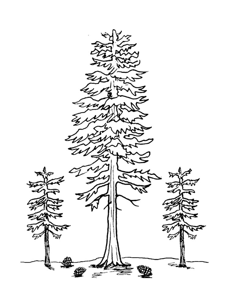 דף צביעה ציור של עצים לצביעה