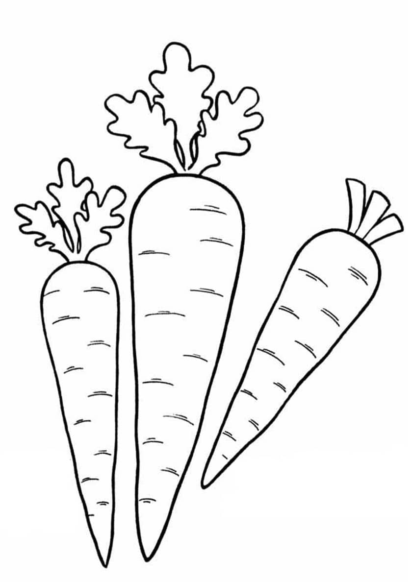 Морковь для раскрашивания для детей