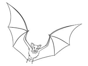 דף צביעה ציור של עטלף עם כנפיים גדולות לצביעה