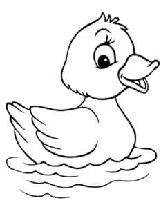 דף צביעה ציור להדפסה ולצביעה של ברווזון חמוד שט במים