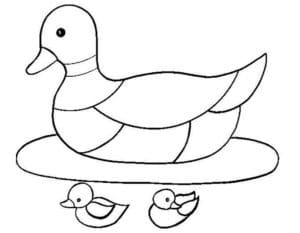 דף צביעה ציור פשוט לצביעה לילדים של ברווזה עם ברווזונים