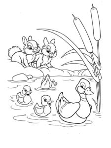 דף צביעה ציור של ארנבונים מסתכלים על ברווזים שוחים באגם
